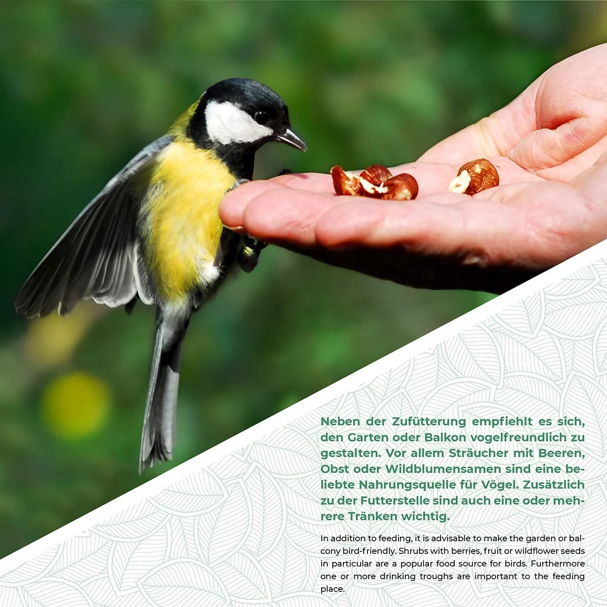 WILDLIFE FRIEND I Hangende Meelworm Voederbak Ø 18cm I Vogelvoederhuisje, Metalen Voederstation Voor Het Hele Jaar Door Voeren Van Wilde Vogels, Metalen Voederbakje 7 WILDLIFE FRIEND I Hangende Meelworm Voederbak Ø 18cm I Vogelvoederhuisje, Metalen Voederstation Voor Het Hele Jaar Door Voeren Van Wilde Vogels, Metalen Voederbakje - Afbeelding 5