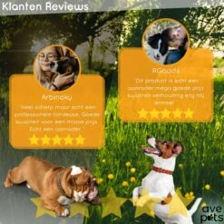 AVE Pets® Complete Hondentondeuse Set - Draadloos Tondeuse - Scheerapparaat Voor Je Hond Of Kat - Huisdier Trimmer - Professionele Dierentondeuse - Dieren Verzorging 15 AVE Pets® Complete Hondentondeuse Set - Draadloos Tondeuse - Scheerapparaat Voor Je Hond Of Kat - Huisdier Trimmer - Professionele Dierentondeuse - Dieren Verzorging -Huisdierbenodigdheden Korting 1200x1200 361