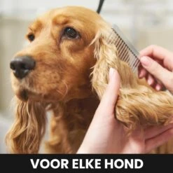 Hondentondeuse - Honden & Katten - Trimmer - Geluidsloos -Huisdierbenodigdheden Korting 1200x1200 373