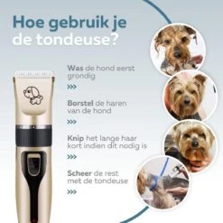 BYER Professionele Dieren Tondeuse Set - Voor Huisdieren Katten & Honden - Draadloos - Oplaadbare Pet Trimmer - Dog Tondeuze Clipper - 5 Standen & Vier Opzetkammen - Low Noise -Huisdierbenodigdheden Korting 1200x1200 381