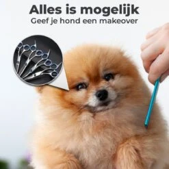 VoordeelShop 7-Delige Huisdier Knipset Met Etui - Trimmen Hond - Honden Schaar - Effileerschaar Hond - Huisdier Trimmer - Huisdier Knippen - Knipschaar Haar - Haar Schaar - Kapper - Kapperset - Scharenset -Huisdierbenodigdheden Korting 1200x1200 388