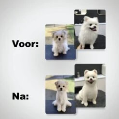 VoordeelShop 7-Delige Huisdier Knipset Met Etui - Trimmen Hond - Honden Schaar - Effileerschaar Hond - Huisdier Trimmer - Huisdier Knippen - Knipschaar Haar - Haar Schaar - Kapper - Kapperset - Scharenset -Huisdierbenodigdheden Korting 1200x1200 393