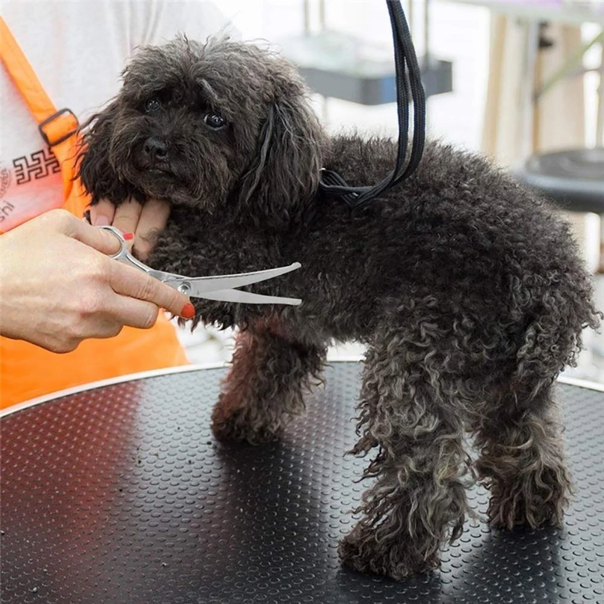 Merkloos Premium Gebogen Trimschaar Honden - Huisdier Trimmen - Hoofd, Poten Ogen & Oren - Kat & Hond Knippen - Veilige Schaar 5 Merkloos Premium Gebogen Trimschaar Honden - Huisdier Trimmen - Hoofd, Poten Ogen & Oren - Kat & Hond Knippen - Veilige Schaar - Image 3