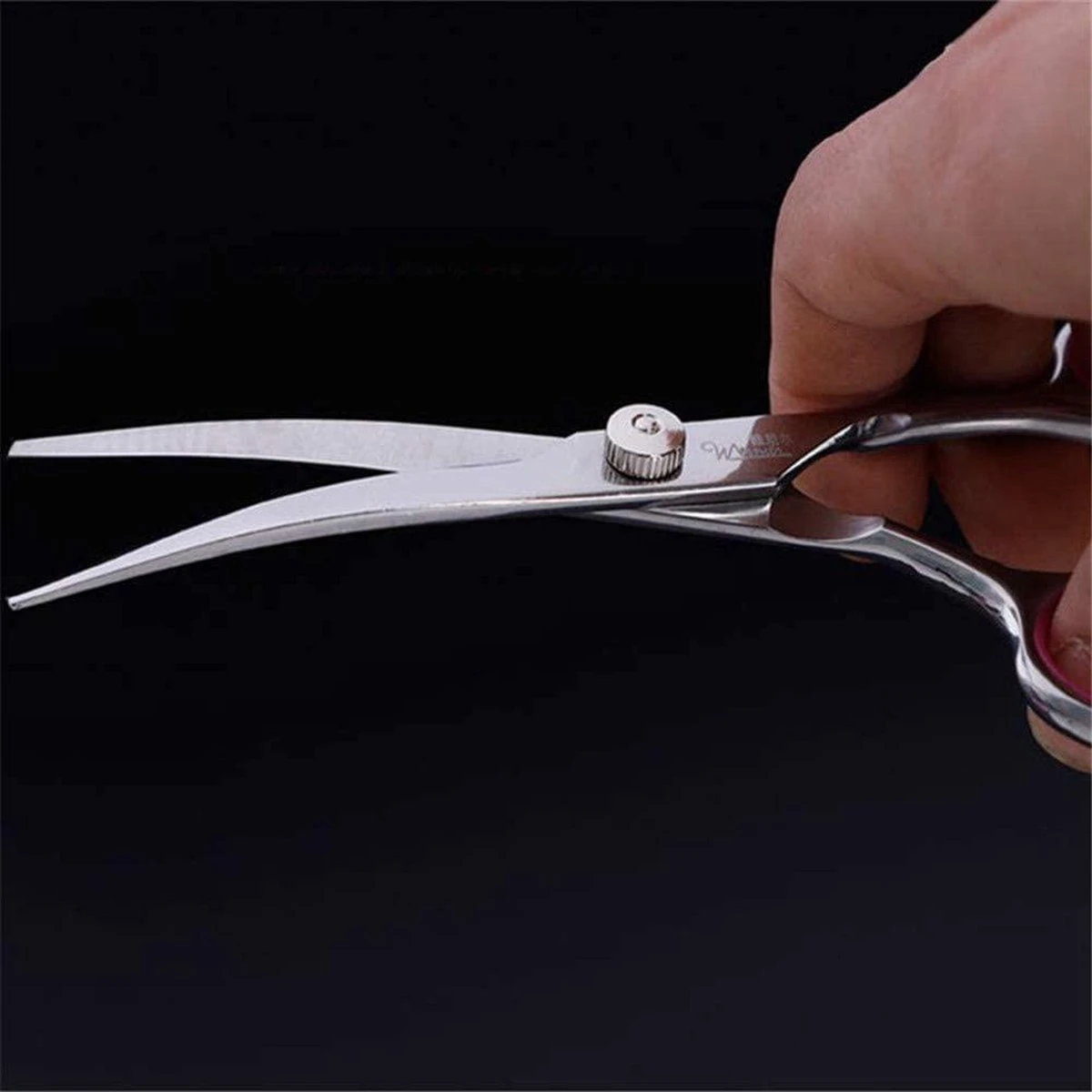 Professor Q - Hondenschaar Krom - Krommende Hondenschaar Links - Professionele Hondenschaar 4 Professor Q - Hondenschaar Krom - Krommende Hondenschaar Links - Professionele Hondenschaar - Image 2