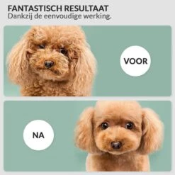 Krachtige Hondenföhn/ Waterblazer Met Draaiknop Om Overtollig Water En Stof Snel Uit De Vacht Te Blazen | Verstelbare Vermogen Standen (500W Tot 2200W) En Verstelbare Temperatuur - Type B Oranje -Huisdierbenodigdheden Korting 1200x1200 416