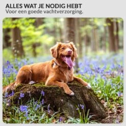 Krachtige Hondenföhn/ Waterblazer Met Draaiknop Om Overtollig Water En Stof Snel Uit De Vacht Te Blazen | Verstelbare Vermogen Standen (500W Tot 2200W) En Verstelbare Temperatuur - Type B Oranje -Huisdierbenodigdheden Korting 1200x1200 417