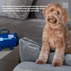 Nuvoo Professionele Hondenföhn / Waterblazer / Hondenborstel Met 3 Opzetstukken - Verstelbare Vermogen Tot 2200W - Warme / Koude Stand - Zwart -Huisdierbenodigdheden Korting 1200x1200 428
