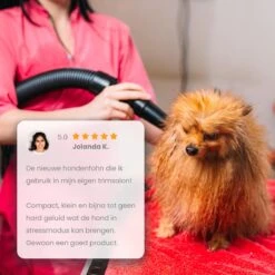Qumax Professionele Hondenföhn Met 4 Opzetstukken – Waterblazer Voor Honden – Stil Design – Compact En Modern - Zwart -Huisdierbenodigdheden Korting 1200x1200 437