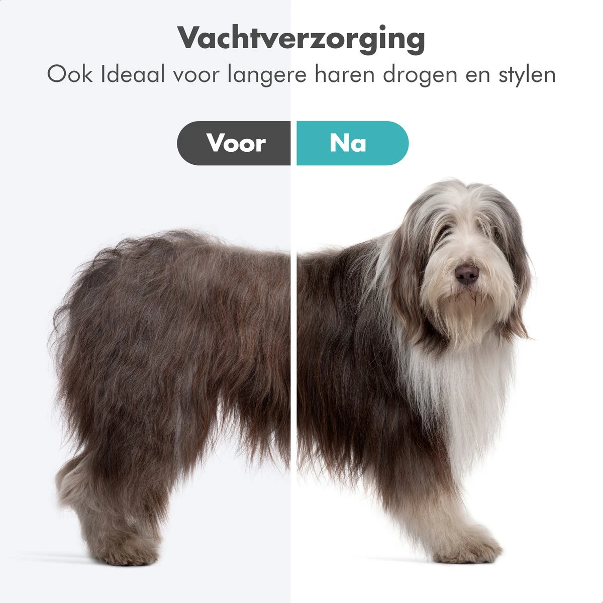 BURCH PetCare Ace - Waterblazer Voor Honden - Handzame Hondenföhn - RVS Borstel - 500W 4 BURCH PetCare Ace - Waterblazer Voor Honden - Handzame Hondenföhn - RVS Borstel - 500W - Image 2