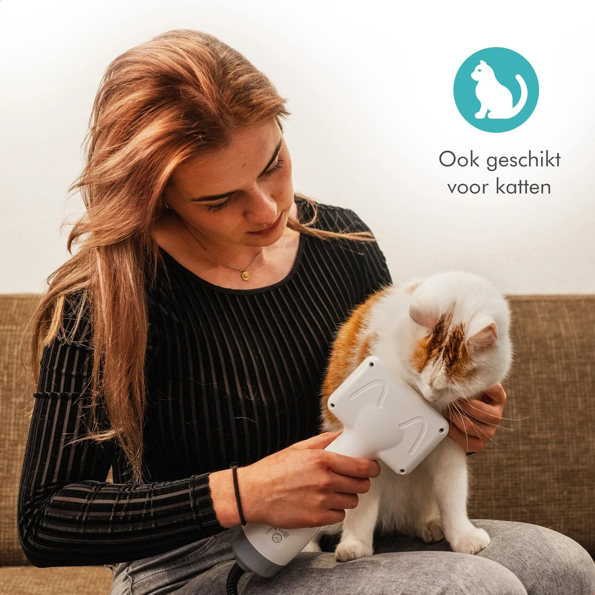 BURCH PetCare Ace - Waterblazer Voor Honden - Handzame Hondenföhn - RVS Borstel - 500W 10 BURCH PetCare Ace - Waterblazer Voor Honden - Handzame Hondenföhn - RVS Borstel - 500W - Image 8