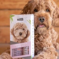 Greenfields Labradoodle Vacht Verzorgingsset - Shampoo En Anti-Klit Spray Voor Langharige Of Krullende Vacht -Huisdierbenodigdheden Korting 1200x1200 465