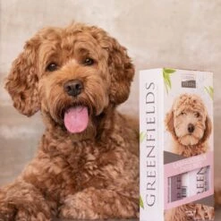 Greenfields Labradoodle Vacht Verzorgingsset - Shampoo En Anti-Klit Spray Voor Langharige Of Krullende Vacht -Huisdierbenodigdheden Korting 1200x1200 466