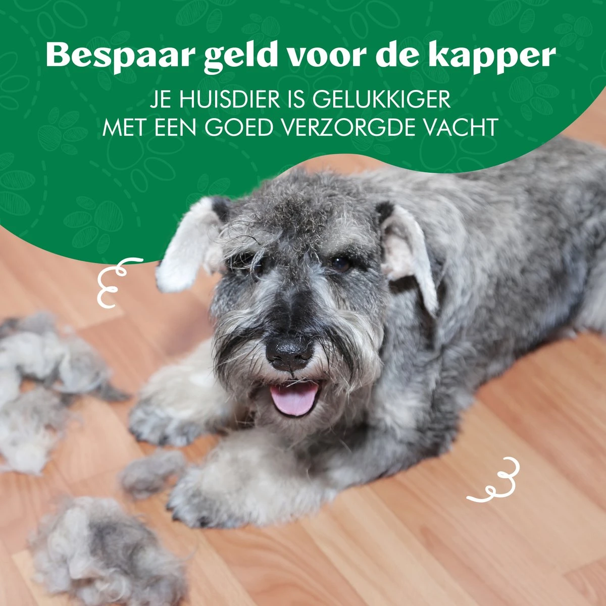 Mister Mill 2 Zijdige Ondervacht Kam Plus Slicker Borstel - Honden/Katten Kam - Voordeel Set 17 Mister Mill 2 Zijdige Ondervacht Kam Plus Slicker Borstel - Honden/Katten Kam - Voordeel Set - Image 15