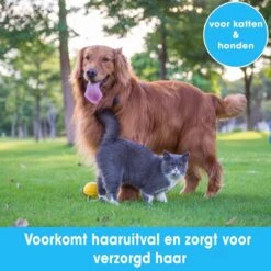 Professionele Ondervacht Kam Voor Hond En Kat S – Hondenborstel – Kattenborstel - Hondenkam –Anti Klit - Haarverwijderaar Voor Huisdieren - Pijnloos - Huisdiervriendelijk – Klittenkam - Voorkomt Haaruitval - Kleine Variant- Black Friday - Sinterklaas -Huisdierbenodigdheden Korting 1200x1200 511