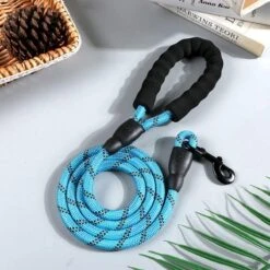 Comfortabele Hondenriem Met Gevoerd Handvat – Stevige Nylon Hondenlijn – Riem Voor Honden -Huisdierbenodigdheden Korting 1200x1200 54