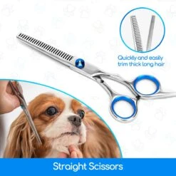 Nobleza Vachtscharen En Kam Set - Scharen Set - Vachtverzorging Set - Scharen Set Voor Honden En Katten 13 Nobleza Vachtscharen En Kam Set - Scharen Set - Vachtverzorging Set - Scharen Set Voor Honden En Katten -Huisdierbenodigdheden Korting 1200x1200 552