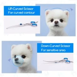 Nobleza Vachtscharen En Kam Set - Scharen Set - Vachtverzorging Set - Scharen Set Voor Honden En Katten 14 Nobleza Vachtscharen En Kam Set - Scharen Set - Vachtverzorging Set - Scharen Set Voor Honden En Katten -Huisdierbenodigdheden Korting 1200x1200 553