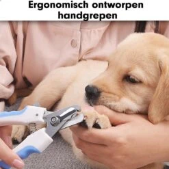 Professionele Nagelschaar|Nagelschaar Hond | Nagelschaar Kat| Nagelknipper Hond En Kat| Nagelknipper Kat| Nagelknipper Hond|NagelTang Dieren|Poot Verzorging -Huisdierbenodigdheden Korting 1200x1200 556