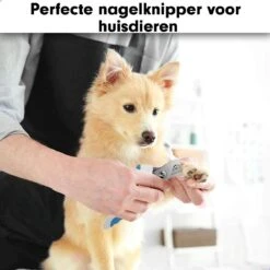 Professionele Nagelschaar|Nagelschaar Hond | Nagelschaar Kat| Nagelknipper Hond En Kat| Nagelknipper Kat| Nagelknipper Hond|NagelTang Dieren|Poot Verzorging -Huisdierbenodigdheden Korting 1200x1200 558