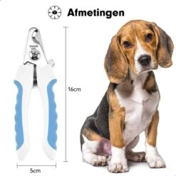 Professionele Nagelschaar|Nagelschaar Hond | Nagelschaar Kat| Nagelknipper Hond En Kat| Nagelknipper Kat| Nagelknipper Hond|NagelTang Dieren|Poot Verzorging -Huisdierbenodigdheden Korting 1200x1200 562