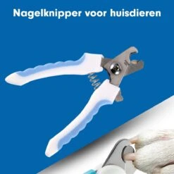 Professionele Nagelschaar|Nagelschaar Hond | Nagelschaar Kat| Nagelknipper Hond En Kat| Nagelknipper Kat| Nagelknipper Hond|NagelTang Dieren|Poot Verzorging -Huisdierbenodigdheden Korting 1200x1200 563