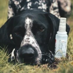 Hondenparfum Spray In 4 Geuren - Greenfields - Alchoholvrije En PH Neutrale Formule Tegen Onaangename Geurtjes - 50ml - Exotic -Huisdierbenodigdheden Korting 1200x1200 575