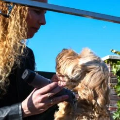 Clipr Ultimate 2-speed Hondentondeuse Op Accu -Huisdierbenodigdheden Korting 1200x1200 597