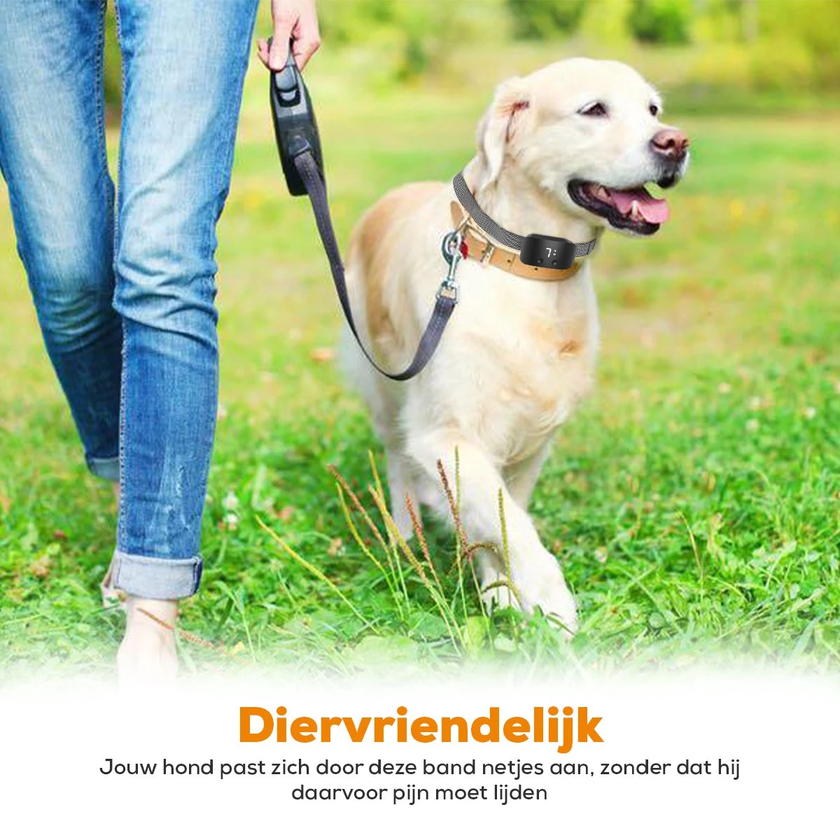 Salvano Anti Blafband - Blafband Voor Honden - Opvoedingshalsbanden - Voor Kleine En Grote Honden - Anti Blafband Zonder Schok- Oplaadbaar - Anti Blaf Apparaat - Blafband - Diervriendelijk 9 Salvano Anti Blafband - Blafband Voor Honden - Opvoedingshalsbanden - Voor Kleine En Grote Honden - Anti Blafband Zonder Schok- Oplaadbaar - Anti Blaf Apparaat - Blafband - Diervriendelijk - Image 7