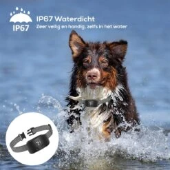 Salvano Anti Blafband - Blafband Voor Honden - Opvoedingshalsbanden - Voor Kleine En Grote Honden - Anti Blafband Zonder Schok- Oplaadbaar - Anti Blaf Apparaat - Blafband - Diervriendelijk 19 Salvano Anti Blafband - Blafband Voor Honden - Opvoedingshalsbanden - Voor Kleine En Grote Honden - Anti Blafband Zonder Schok- Oplaadbaar - Anti Blaf Apparaat - Blafband - Diervriendelijk -Huisdierbenodigdheden Korting 1200x1200 617