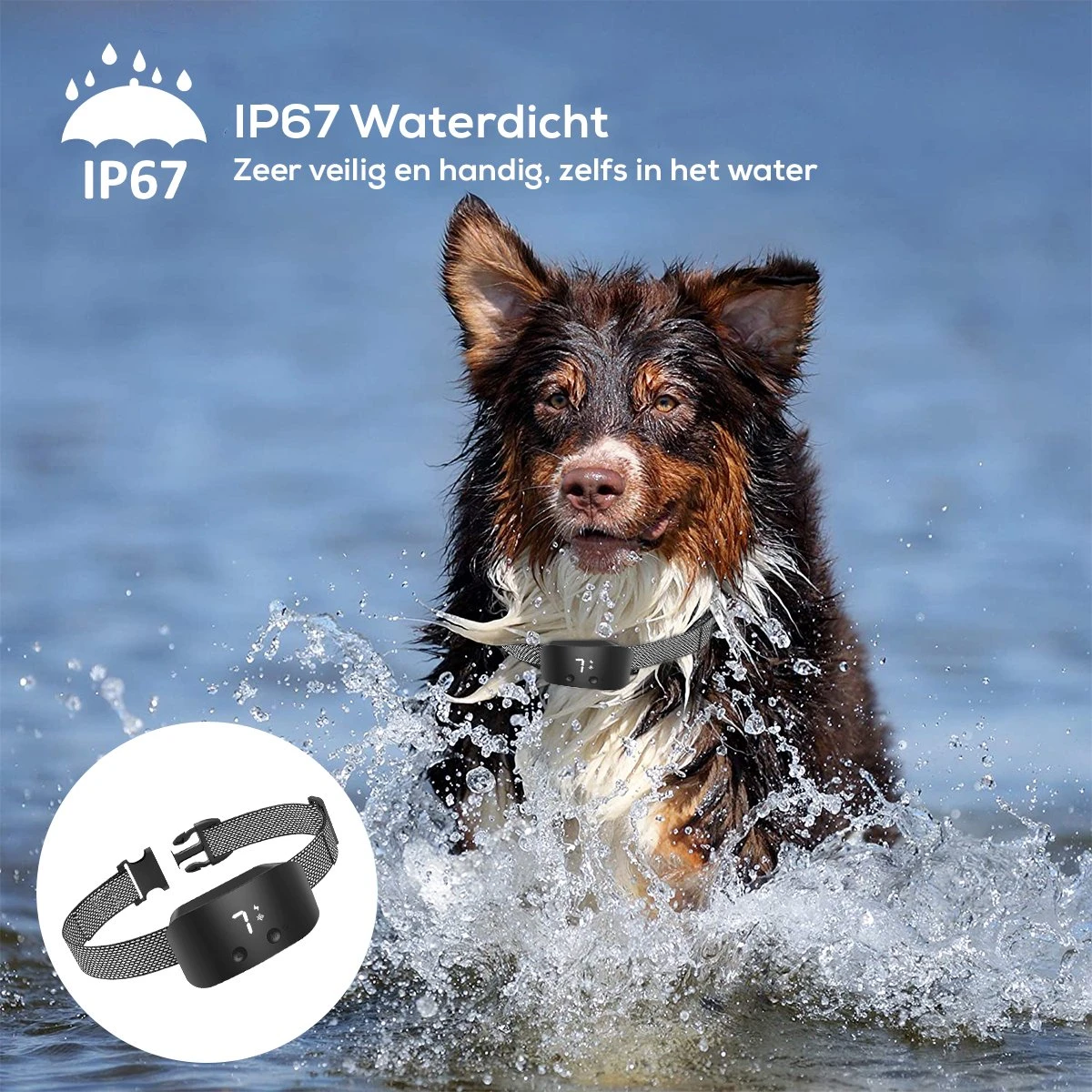 Salvano Anti Blafband - Blafband Voor Honden - Opvoedingshalsbanden - Voor Kleine En Grote Honden - Anti Blafband Zonder Schok- Oplaadbaar - Anti Blaf Apparaat - Blafband - Diervriendelijk 10 Salvano Anti Blafband - Blafband Voor Honden - Opvoedingshalsbanden - Voor Kleine En Grote Honden - Anti Blafband Zonder Schok- Oplaadbaar - Anti Blaf Apparaat - Blafband - Diervriendelijk - Image 8