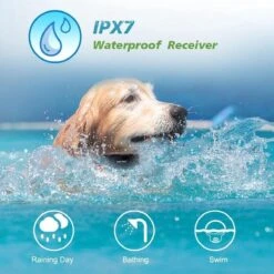 Anti Blafband EN Trainingshalsband In 1 - UNIEK Systeem - 500m Bereik - Trainingsband Opvoedband Waterdicht - Anti Blaf Apparaat - Teletac - Oplaadbaar - Volautomatisch - Grote & Kleine Hond 10 Anti Blafband EN Trainingshalsband In 1 - UNIEK Systeem - 500m Bereik - Trainingsband Opvoedband Waterdicht - Anti Blaf Apparaat - Teletac - Oplaadbaar - Volautomatisch - Grote & Kleine Hond -Huisdierbenodigdheden Korting 1200x1200 622