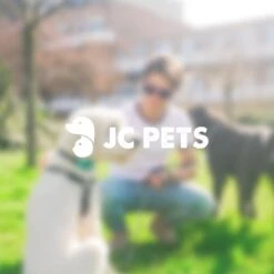 Anti Blafband - Blafband Voor Honden - Oplaadbaar - Anti Blaf Apparaat - Blafband - Diervriendelijk -Huisdierbenodigdheden Korting 1200x1200 627