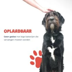 Anti Blafband - Blafband Voor Honden - Oplaadbaar - Anti Blaf Apparaat - Blafband - Diervriendelijk -Huisdierbenodigdheden Korting 1200x1200 628