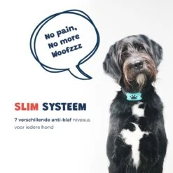 Anti Blafband - Blafband Voor Honden - Anti Blaf Apparaat - Blafband - Diervriendelijk & Zonder Schok 17 Anti Blafband - Blafband Voor Honden - Anti Blaf Apparaat - Blafband - Diervriendelijk & Zonder Schok -Huisdierbenodigdheden Korting 1200x1200 641