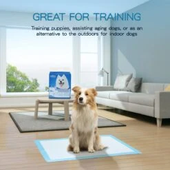 Nobleza 48WQF - Puppy Training Pads - 60 X 90 Cm - Zindelijkheidstraining -50 Stuks - L -Huisdierbenodigdheden Korting 1200x1200 654