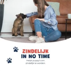 JC Pets Premium Puppy Training Pads - Hondentoilet - Zindelijkheidstraining Hond - 100 Stuks - 60 X 45 Cm 16 JC Pets Premium Puppy Training Pads - Hondentoilet - Zindelijkheidstraining Hond - 100 Stuks - 60 X 45 Cm -Huisdierbenodigdheden Korting 1200x1200 667