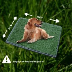 Merkloos Gtrise Hondentoilet Met 2 Matten - Out/Indoor - Zindelijkheidstraining Ebook - Dieren Wc -Huisdierbenodigdheden Korting 1200x1200 676