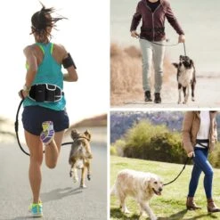 BOTC Looplijn Hond Met Heupriem Voor Hardlopen - Hondenriem - Zwart 18 BOTC Looplijn Hond Met Heupriem Voor Hardlopen - Hondenriem - Zwart -Huisdierbenodigdheden Korting 1200x1200 69