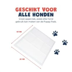 JC Pets Premium Puppy Training Pads - Hondentoilet - Zindelijkheidstraining Hond - 50 Stuks - 60 X 45 Cm 17 JC Pets Premium Puppy Training Pads - Hondentoilet - Zindelijkheidstraining Hond - 50 Stuks - 60 X 45 Cm -Huisdierbenodigdheden Korting 1200x1200 692