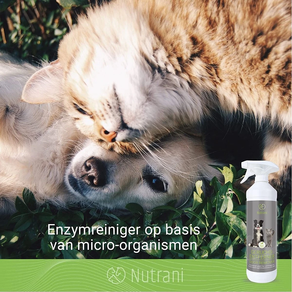 Nutrani Geurverwijderaar, 750 Ml, Natuurlijke Enzymreiniger Als Gebruiksklare Spray Met Biologische Werking, Verwijdert Geurtjes, Urine, Poep En Vlekken Van Honden En Katten 6 Nutrani Geurverwijderaar, 750 Ml, Natuurlijke Enzymreiniger Als Gebruiksklare Spray Met Biologische Werking, Verwijdert Geurtjes, Urine, Poep En Vlekken Van Honden En Katten - Image 4