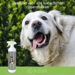Nutrani Geurverwijderaar, 750 Ml, Natuurlijke Enzymreiniger Als Gebruiksklare Spray Met Biologische Werking, Verwijdert Geurtjes, Urine, Poep En Vlekken Van Honden En Katten 13 Nutrani Geurverwijderaar, 750 Ml, Natuurlijke Enzymreiniger Als Gebruiksklare Spray Met Biologische Werking, Verwijdert Geurtjes, Urine, Poep En Vlekken Van Honden En Katten -Huisdierbenodigdheden Korting 1200x1200 728