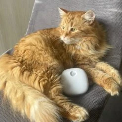 Pettadore Air Insight - Kattenbak Geurverdrijver & Teller - Actieve Zuurstof En Ionen - Oplaadbaar - Met App -Huisdierbenodigdheden Korting 1200x1200 741