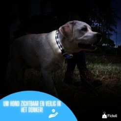 Fideli Anti Blafband - Zonder Schok - Grote En Kleine Honden - Oplaadbaar - LED Verlichte Band -Huisdierbenodigdheden Korting 1200x1200 758