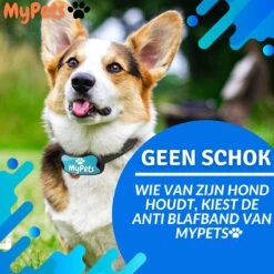 MyPets™ Anti-blafband - Anti Blaf Apparaat - Voor Kleine Honden En Grote Honden - Diervriendelijk - Opvoedingshalsband - Trainingshalsband - 2022/2023 Versie - Inclusief Batterijen -Huisdierbenodigdheden Korting 1200x1200 760