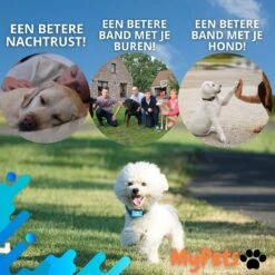 MyPets™ Anti-blafband - Anti Blaf Apparaat - Voor Kleine Honden En Grote Honden - Diervriendelijk - Opvoedingshalsband - Trainingshalsband - 2022/2023 Versie - Inclusief Batterijen -Huisdierbenodigdheden Korting 1200x1200 763