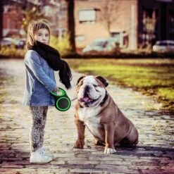 IGOODS - Hondenriem - Katten Riem - Uitlaatriem Voor Honden En Katten - Honden Riem- Rollijn - 5 Meter Lang 17 IGOODS - Hondenriem - Katten Riem - Uitlaatriem Voor Honden En Katten - Honden Riem- Rollijn - 5 Meter Lang -Huisdierbenodigdheden Korting 1200x1200 77