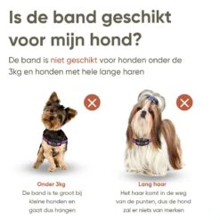 Premium Anti Blafband Om Je Hond Snel En Effectief Te Laten Stoppen Met Blaffen - Diervriendelijke Opvoedingshalsband Zonder Schok - Trainingshalsband Voor Grote En Kleine Honden - Anti Blaf Apparaat - Correctie Halsband -Huisdierbenodigdheden Korting 1200x1200 780
