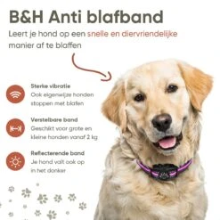 Premium Anti Blafband Om Je Hond Snel En Effectief Te Laten Stoppen Met Blaffen - Diervriendelijke Opvoedingshalsband Zonder Schok - Trainingshalsband Voor Grote En Kleine Honden - Anti Blaf Apparaat - Correctie Halsband -Huisdierbenodigdheden Korting 1200x1200 784