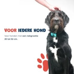 Anti Blafband - Blafband Voor Honden - Anti Blaf Apparaat - Blafband - Diervriendelijk & Zonder Schok -Huisdierbenodigdheden Korting 1200x1200 793