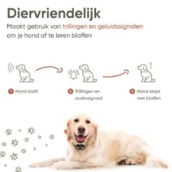 Premium Anti Blafband - Diervriendelijke Opvoedingshalsband Zonder Schok - Trainingshalsband Voor Grote En Kleine Honden - Anti Blaf Band - Correctie Halsband -Huisdierbenodigdheden Korting 1200x1200 801